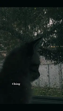 Suy nghĩ nhiều để làm gì ?  #CapCut #tamtrang #buồnmộtchútthôi #xuhuong #tapxaykenhtiktokmoingay 