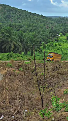 #driper #fyp #supirsawitsulawesi