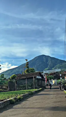 Tiis cepil herang soca🍃 #garut 