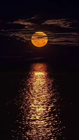 Jejakmu Tuhan #jejakmuTuhan #lagurohanikristen #lagurohani #fypシ゚viral🖤tiktok #fypシ 