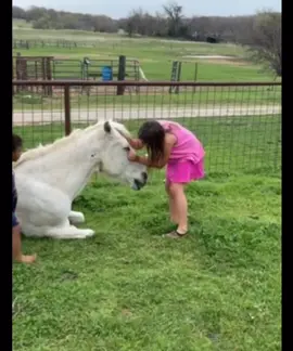 “Get them out of the arena and go for a trail ride!” -Pony Pro Raylee Winters #performanceponycompany #ponypro2025 #tipoffheday 
