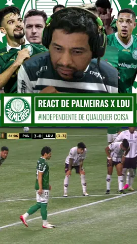VAMO PALMEIRAS #libertadores #verdaominhapaixao #palmeiras #FUTEBOL #VIRADA VIRADA