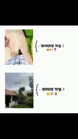 বিমান থেকে ১০ কোটি টাকা আমার সামনে পড়ুক...!!🌚👀🤌