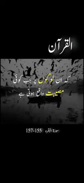 Quran verses with urdu translation.  #islamic_video #urdutranslation #video #Allah #quran 