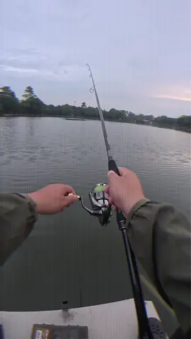 Nắng ko sợ mưa ko ngại vẫn fai mò ra hồ ae