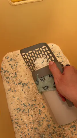 ที่ตักทรายแมวอันนี้สะดวกมาก! #สินค้าสัตว์เลี้ยง #ทาสหมาทาสแมว #ทาสเเมว