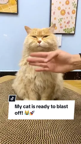 Get this Astronaut Drying Suit to dry them after 🛁