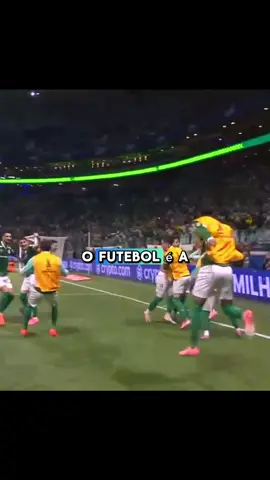 #palmeiras #libertadores #veiga #torcidapalmeiras #futebolbrasileiro 