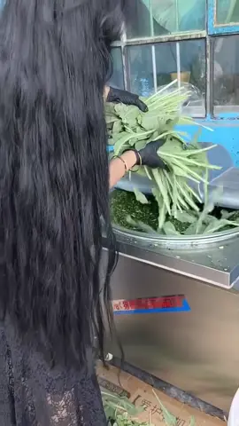 Gội xà phòng tam giác Lá Bách và Cỏ usma cho mọc tóc, mọc mày nè #kichmoctoc #tamgiaclabach #xaphongtamgiaclabach #usma 