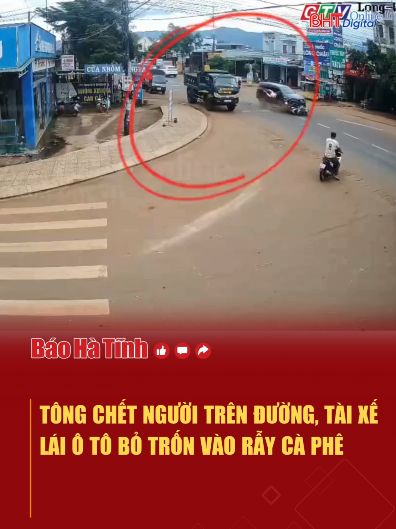 Tông chết người trên đường, tài xế lái ô tô bỏ trốn vào rẫy cà phê #tintuc #tinmoi24h #tinnong #socialnews #tiktokviral #trending #GIALAI #tongchetnguoi #botron