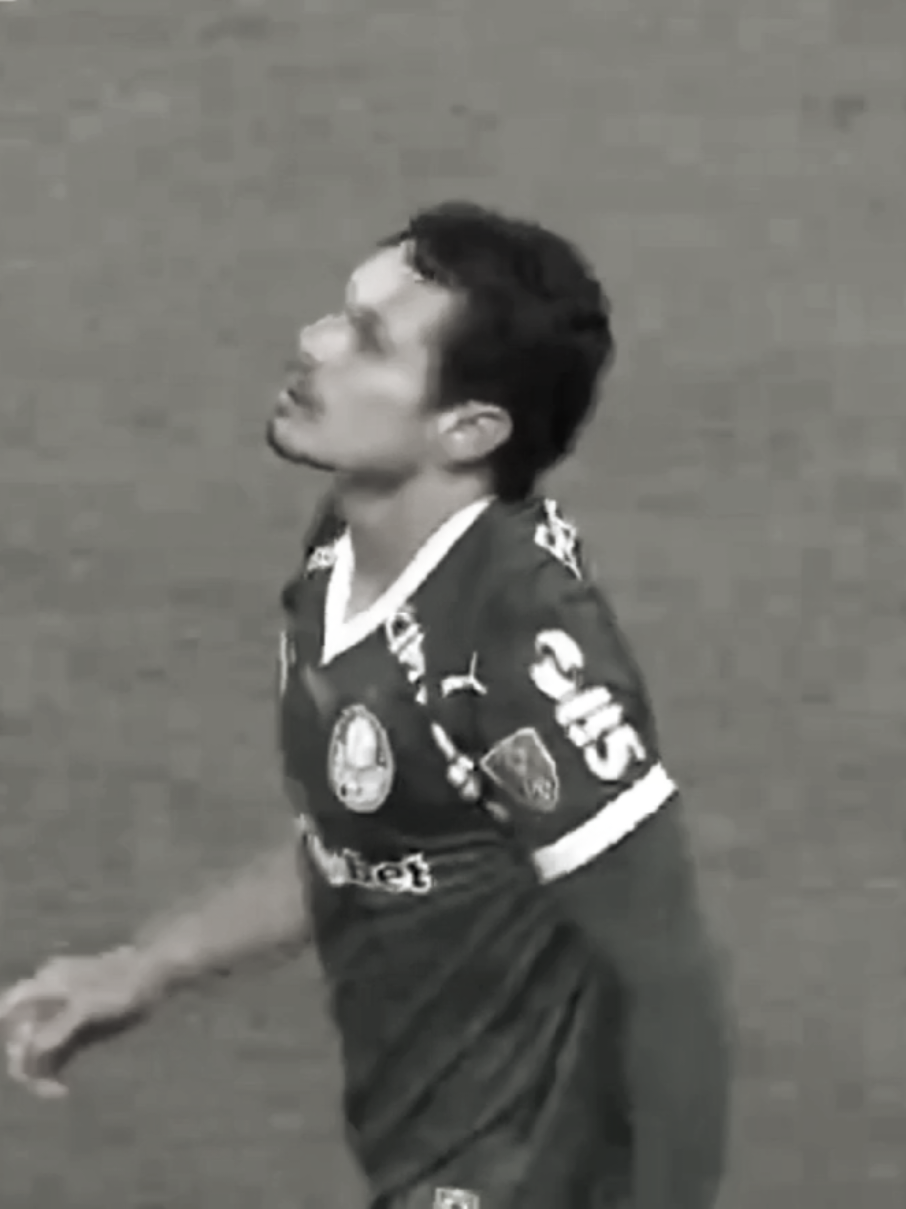 PALMEIRAS X LDU . #palmeiras #alianzparque #palmeirasoficial #libertadores #palmeiras 