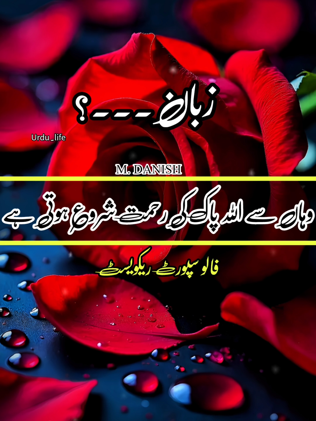 #fyp #foryoupage #urduquotes #urdupoetry #viralvide 