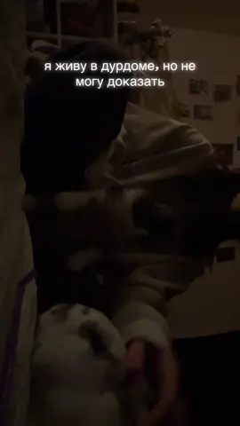 Трубочка его играшка, для счастья нужно мало #fypシ #рекомендации #тренд #котенок #fyp  