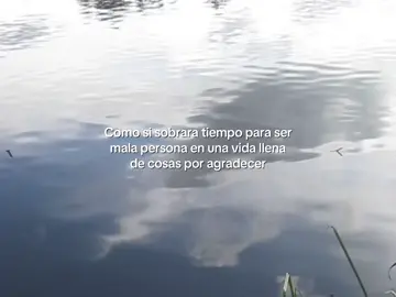 Solo necesitas darte cuenta de lo afortunado que eres por estar rodeado de tantas bendiciones que damos por hecho @mizushina san 