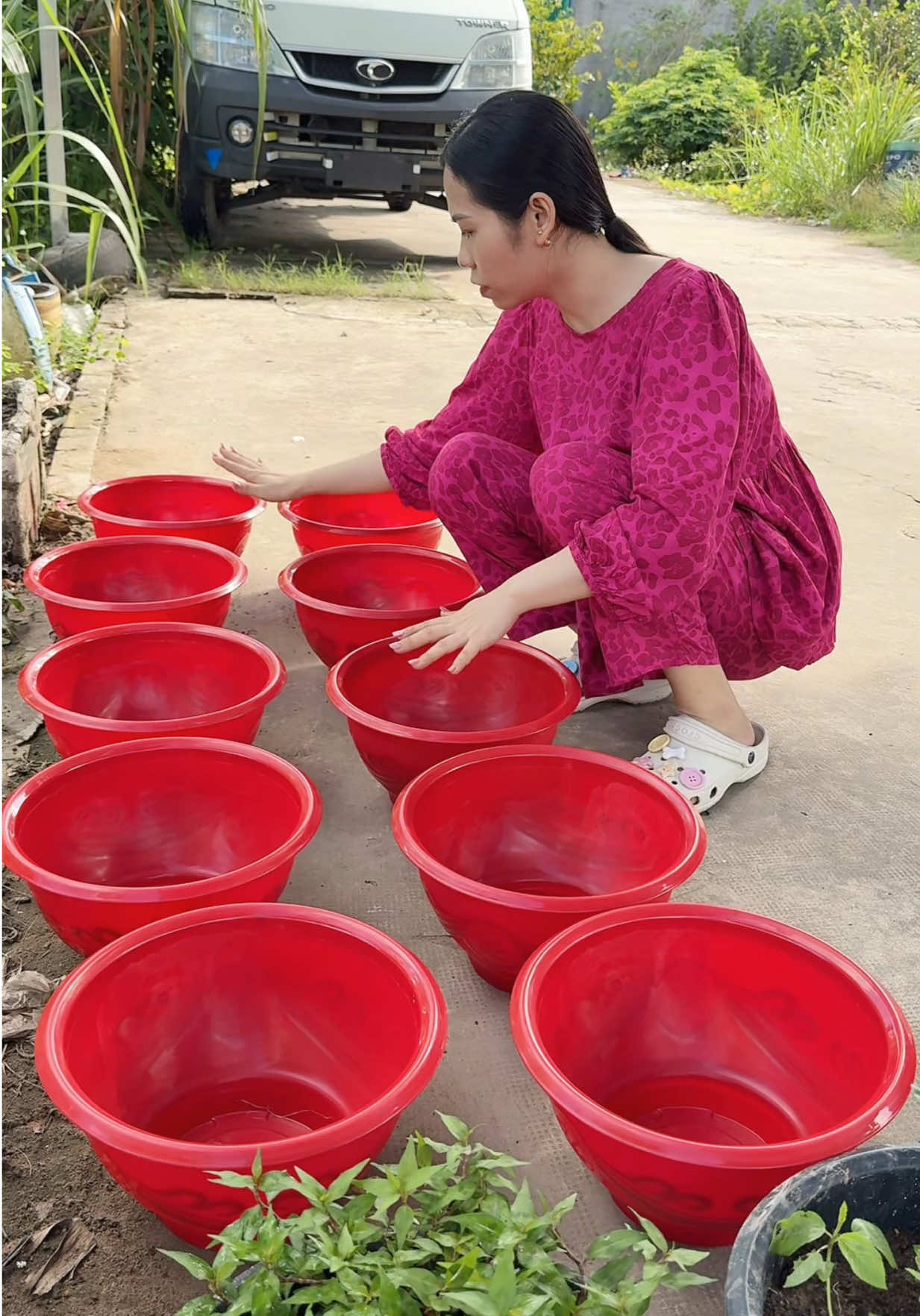 Combo 10 chậu nhựa trồng cây chỉ có 99k tranh thủ mua mấy bà ơi #xuhuong #viral #thinhhanh #chaunhuatrongcay #chautrongcay 