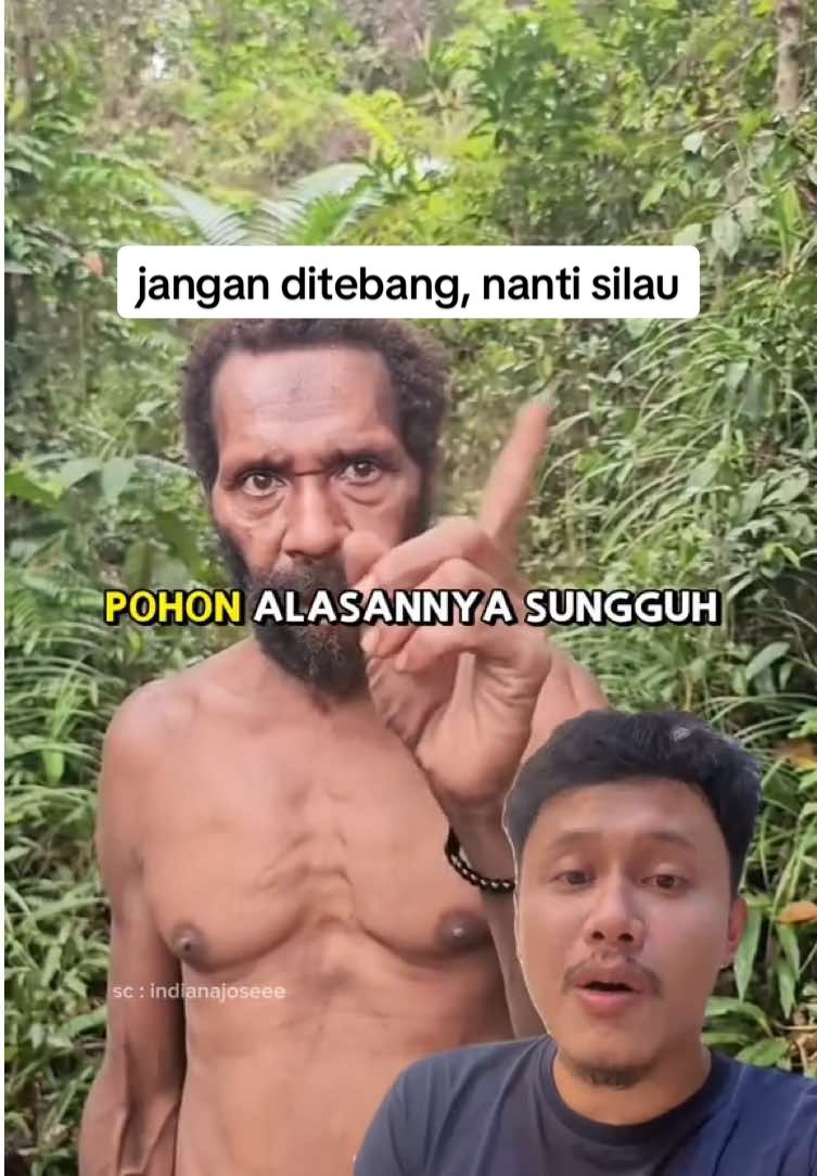 terimakasih pak telah menjaga hutan sehingga tidak membuat kita kepanasan dan kesilauan karena kebangkitan king @Manchester United 🙏 #manutd #kingemyu 