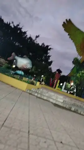 #RODADA #HALLOWEE #Villatunari#shinahota #tropicodecochabamba🇧🇴 