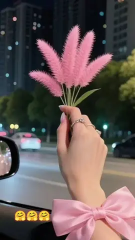 #holanoviembre #CapCut 