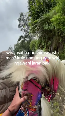 jian kalah saing @Wcill★ #jaranpink #pinkkiyut #fypage #temanggung24jam #temanggunghits 