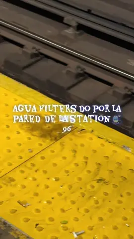 #LIVEIncentiveProgram #LIVEStory #PaidPartnership 