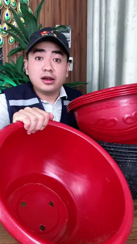Chậu to đẹp dầy dặn và rẻ nữa
