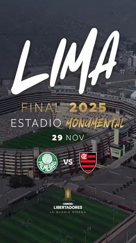 👊 #Palmeiras o #Flamengo. ¿Quién alcanzará la #GloriaEterna? CONMEBOL #Libertadores #TikTokDeportes 