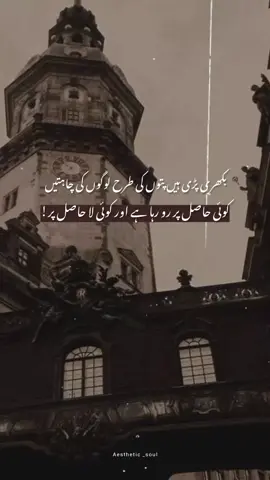 bilkul🙌🌚❤️‍🔥#foryou #aestheticpoetry #creatersearchinsights #tiktokteamdontunderreviewmyvide #1millionaudition 