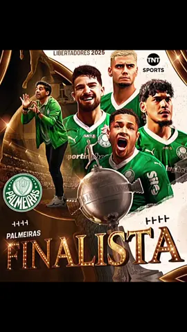 O PALMEIRAS DE ABEL FERREIRA FAZ HISTÓRIA E É FINALISTA DA LIBERTADORES  Palmeiras 4 X 0 LDU  #palmeiras #futebolbrasileiro #palmeirasedit #avantepalestra 