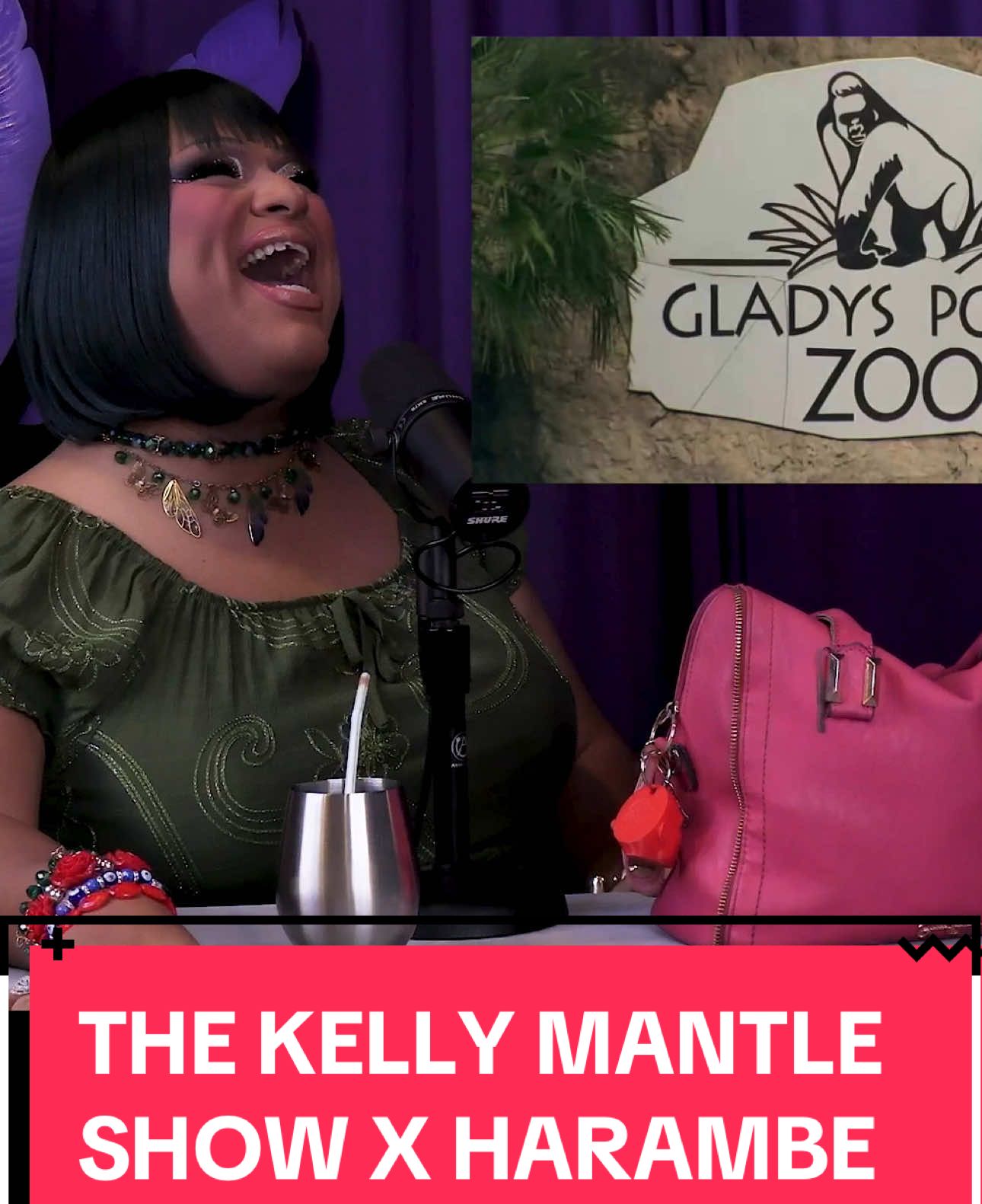 MAKE SOME NOISE FOR HARAMBE! 😂🥊🧱 LATEST EPISODE OF MY INTERVIEW WITH @KellyMantle IS OUT NOW. #Harambe #GladysPorterZoo #BrownsvilleTx 