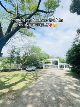 হারানোর আগে ভেবে দেখো আবার যেন খুঁজতে না হয়..!!❤️‍🩹😌 #foryou #sarowarshikdar813 #sarowar4196 