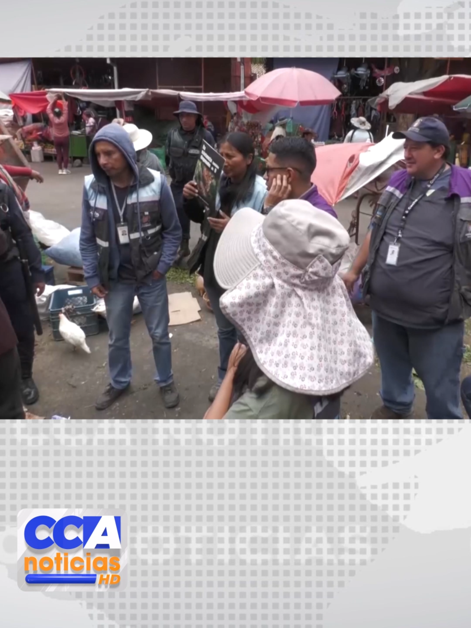 ZOONOSIS DE COCHABAMBA POR TEMOR A COMERCIANTES NO REALIZAN CONTROL A LA VENTA DE MASCOTAS EN LA PAMPA