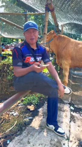 #folderpribadi #aduhdek 