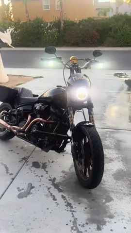 #fyp #trending #harley 