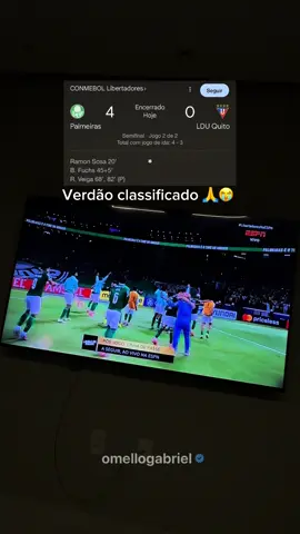 Verdão classificadoooooo  #palmeiras #libertadores #futebol #vasco 