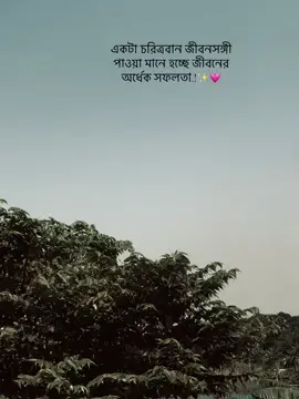 একটা চরিত্রবান জীবনসঙ্গী পাওয়া মানে হচ্ছে জীবনের অর্ধেক সফলতা.!✨💗#অসময় #fypシ゚viral #foryoupage #Vairal #Foryou @TikTok Bangladesh @TikTok @For You 