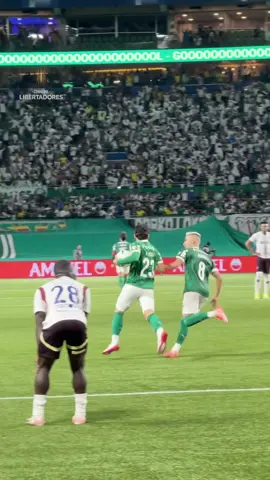 💆‍♂️ Veiga cerró un golazo de #Palmeiras y empataba la serie ante #LDU. CONMEBOL #Libertadores #TikTokDeportes #GloriaEterna 