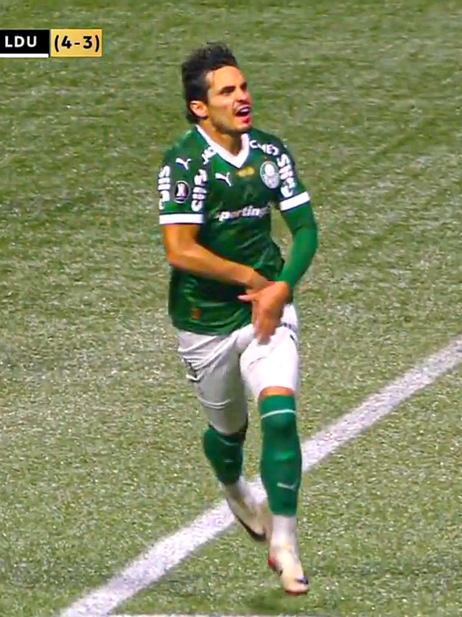 O IMPOSSÍVEL NAO HÁ QUANDO SE TRATA DE PALMEIRAS, FINALISTA DA LIBERTADORES!!! #palmeiras #ldu #libertadores #finalista #edit 