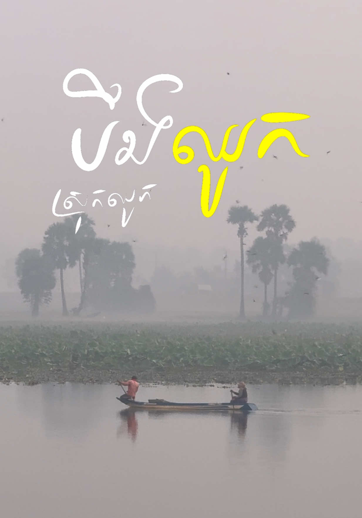 មើលហើយនឹកស្រកណាស់ #rsgallery #explore #kampot #ស្រុកឈូក 