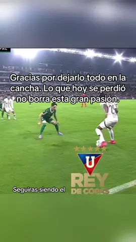 Gracias Liga de Quito por dejar en alto el nombre de Ecuador en la semifinal de la Conmebol Libertadores, este año no se pudo, el próximo el éxito será Nuestro. ¡Vamos Liga! ¡Vamos Liga! #liga #lduquito #LDU #palmeiras #reydecopas 