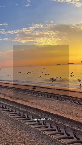 #felizviernes #viernes #bendecidodia #buenosdias #buenosdiasporlamañana 