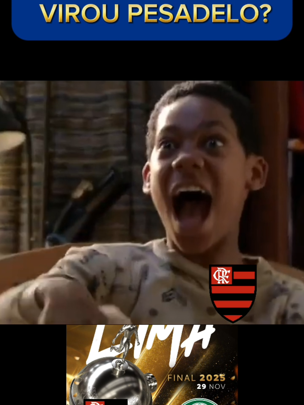 Acho que tem gente que perdeu o sono hoje heim!!! Jogaço!!! Palmeiras 4x0!!! Palmeiras x Flamengo final da @LibertadoresBR  #libertadores #flamengo #palmeirasoficial #futebolbrasileiro #futmemes 