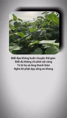 Biết đạo không buồn chuyện thế gian  Biết đủ không chi phải vội vàng Từ bi hỷ xả lòng thanh thản Nghe lời phật dạy sống an khang