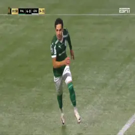 #fyp #corecore #palmeiras 