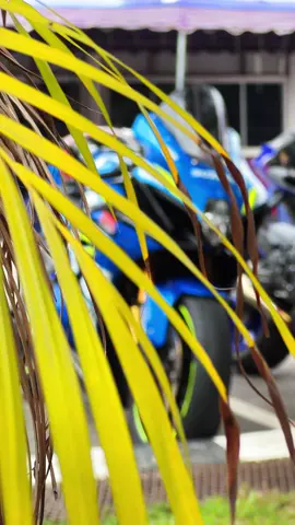 มาก่อนมาหลังไม่สำคัญ แต่อย่ามาพร้อมกัน เดี๋ยวเกม😎💙 #Freedombike #gsxr1000 #จอมมารบลู #r1ดิหว่ะ🏁 #R1 