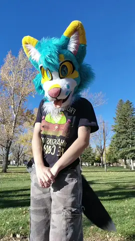Felt cunty so like  #furry #furrytiktok #furryfandom #fursuit #frenzifox 
