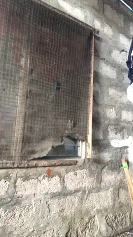 #fyppppppppppppppppppppppp 