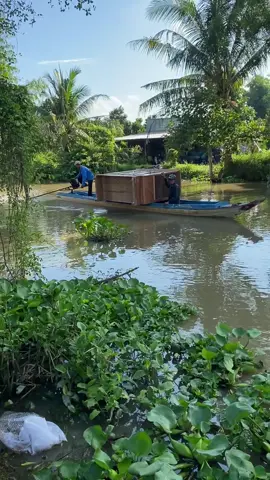 Khách có mua là e có giao , bằng mọi cách , tủ nồi gỗ thao lao về nhà khách cần thơ #xuhuong #noithatgo #angiang #tủ 