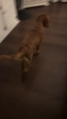 It’s been a miserable day 