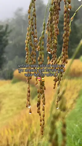 😔💝#fyp #foryou #foryoupage #naturelover 