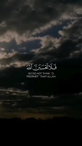 #سوره_ابراهيم #القاري_سعود_الفايز #سبحان_الله_وبحمده_سبحان_الله_العظيم #quran 